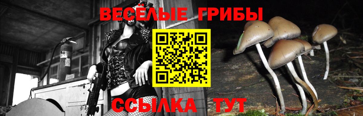 Галлюциногенные грибы прущие грибы Донской