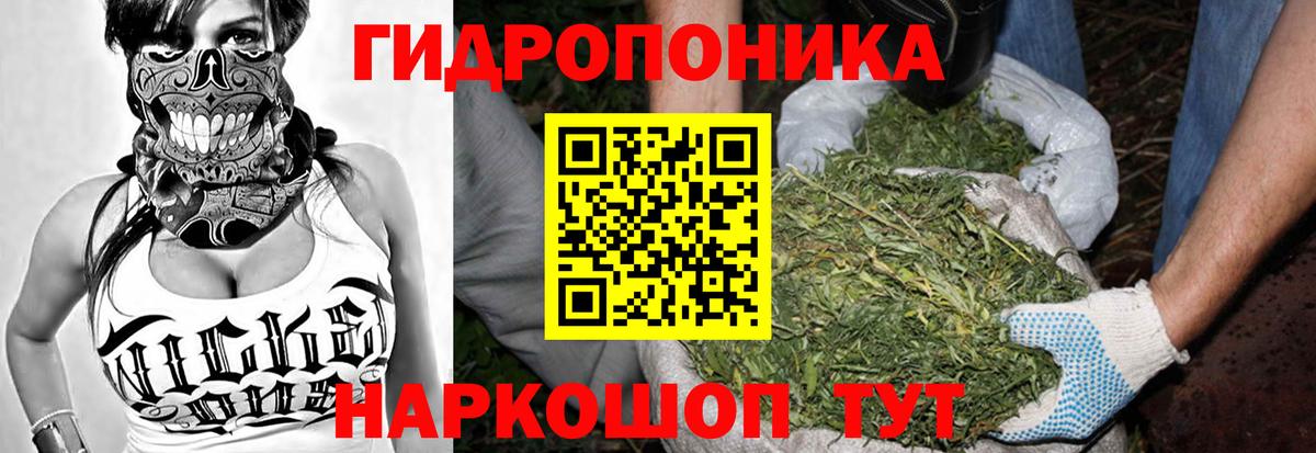 Конопля Amnesia  Вход с VPN  Конопля конопля  Донской 